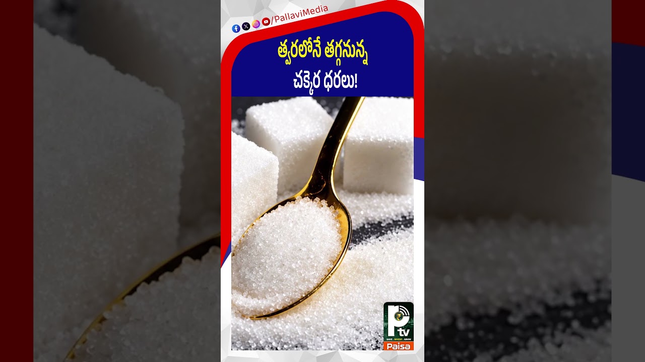 త్వరలోనే తగ్గనున్న చక్కెర ధరలు! | Sugar prices set to drop soon!|  PTV Paisa