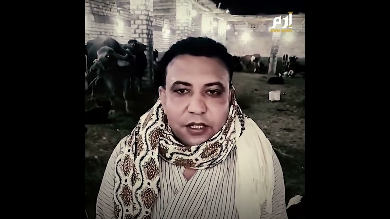 من مستريح المنوفية إلى مستريح أسوان.. أين اختفت أموال الغلابة