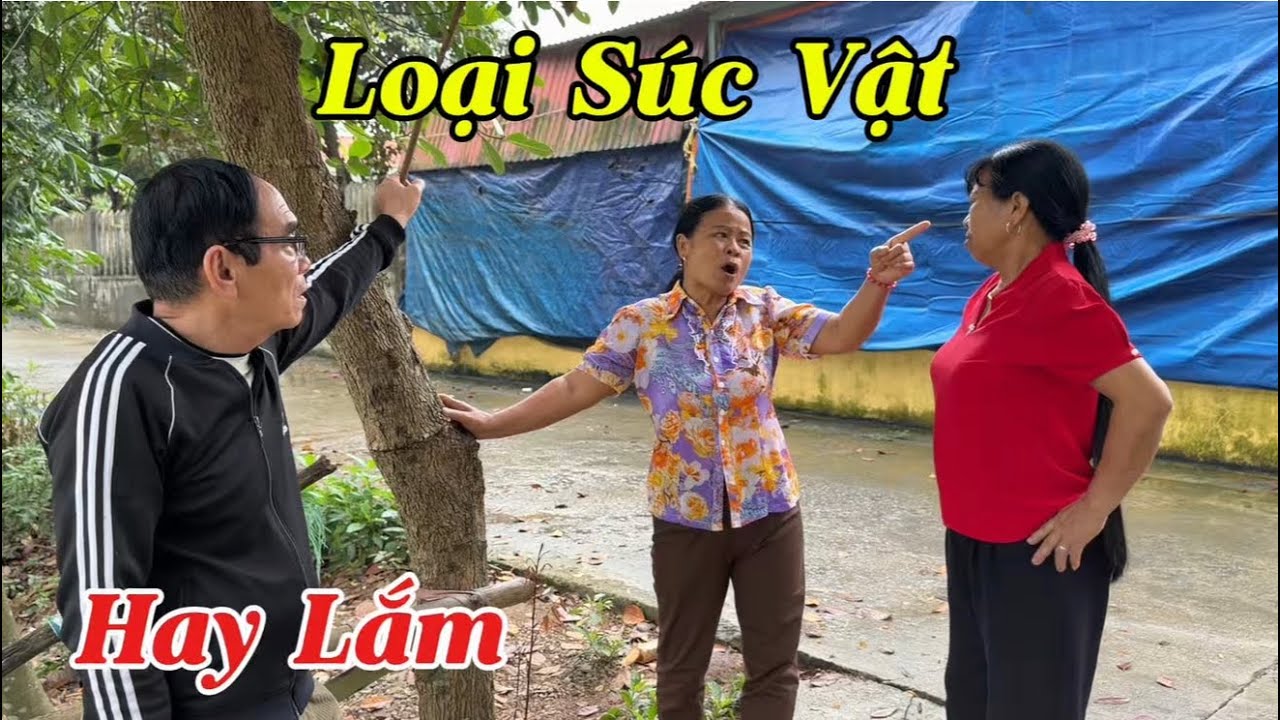 Biến Căng | Mụ Minh Chửi Mụ Liên Thậm Tệ - Vì Vào Xin Hiệp Đi Ăn Hỏi