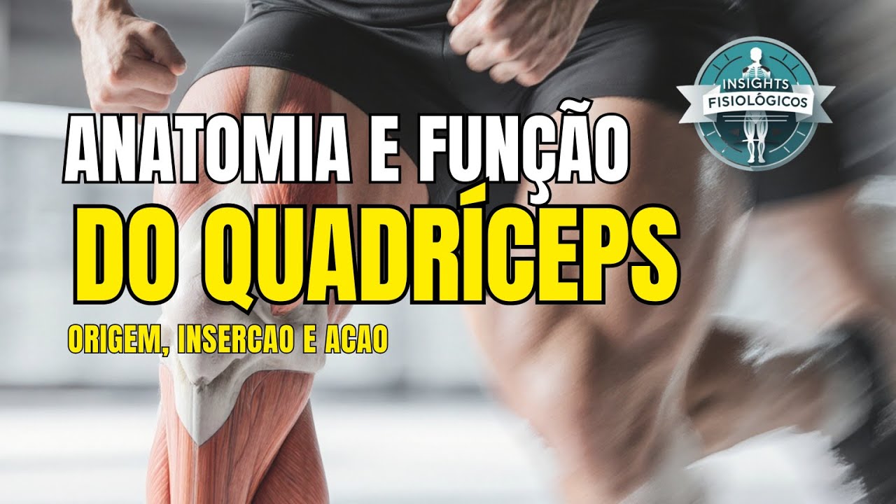 Anatomia e Função do Músculo Quadríceps Femoral
