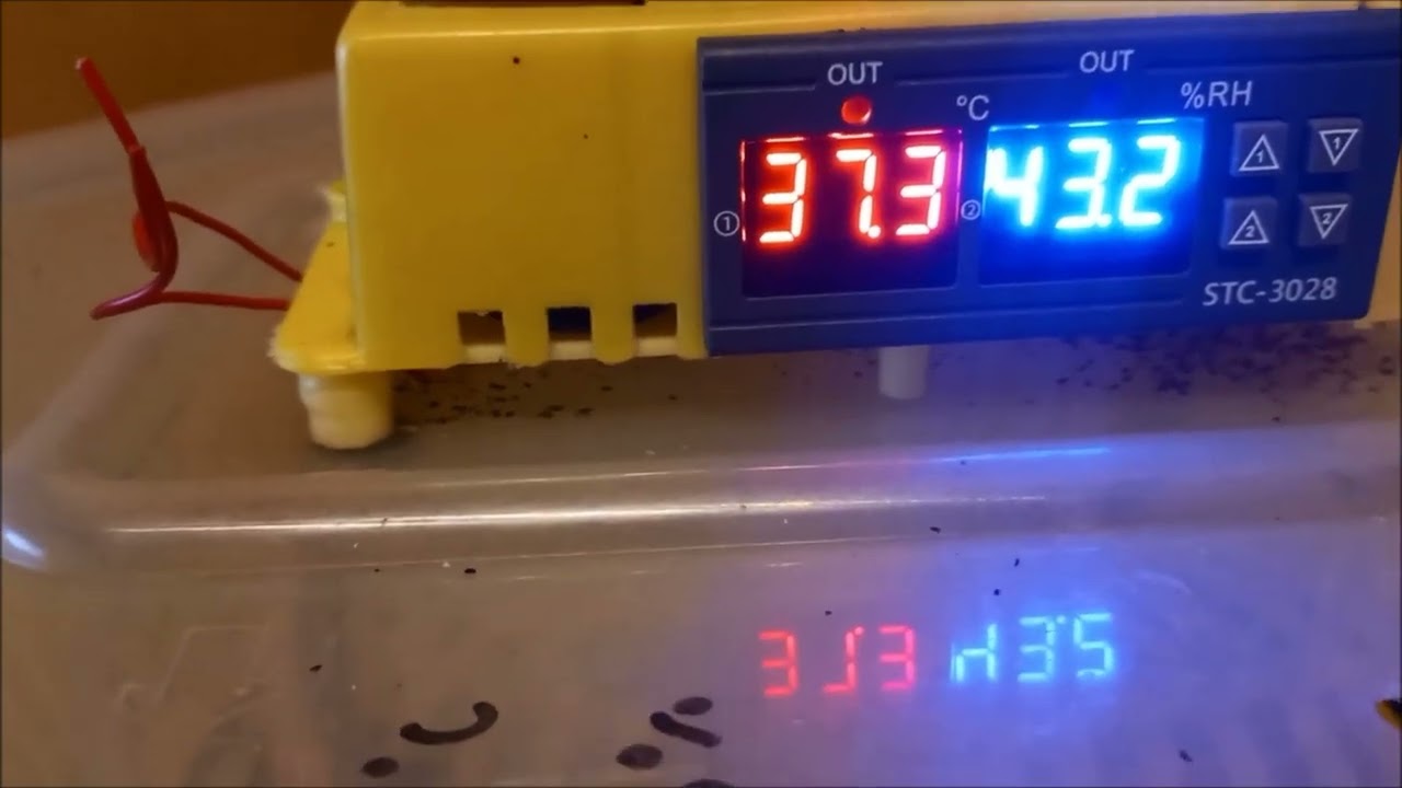 INKUBATOR CLEO 5 DTHE 60 JAj  naprawa