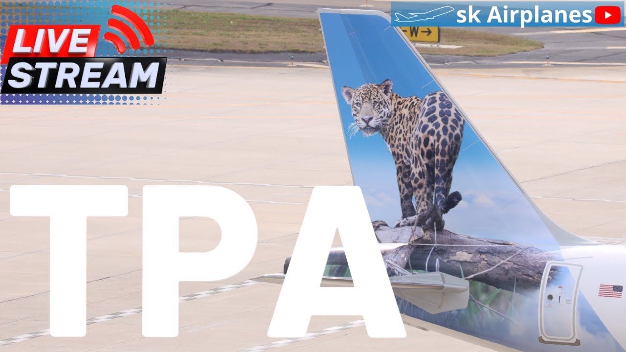 🔭 Watching Planes ✈️  At Tampa International Airport (TPA)