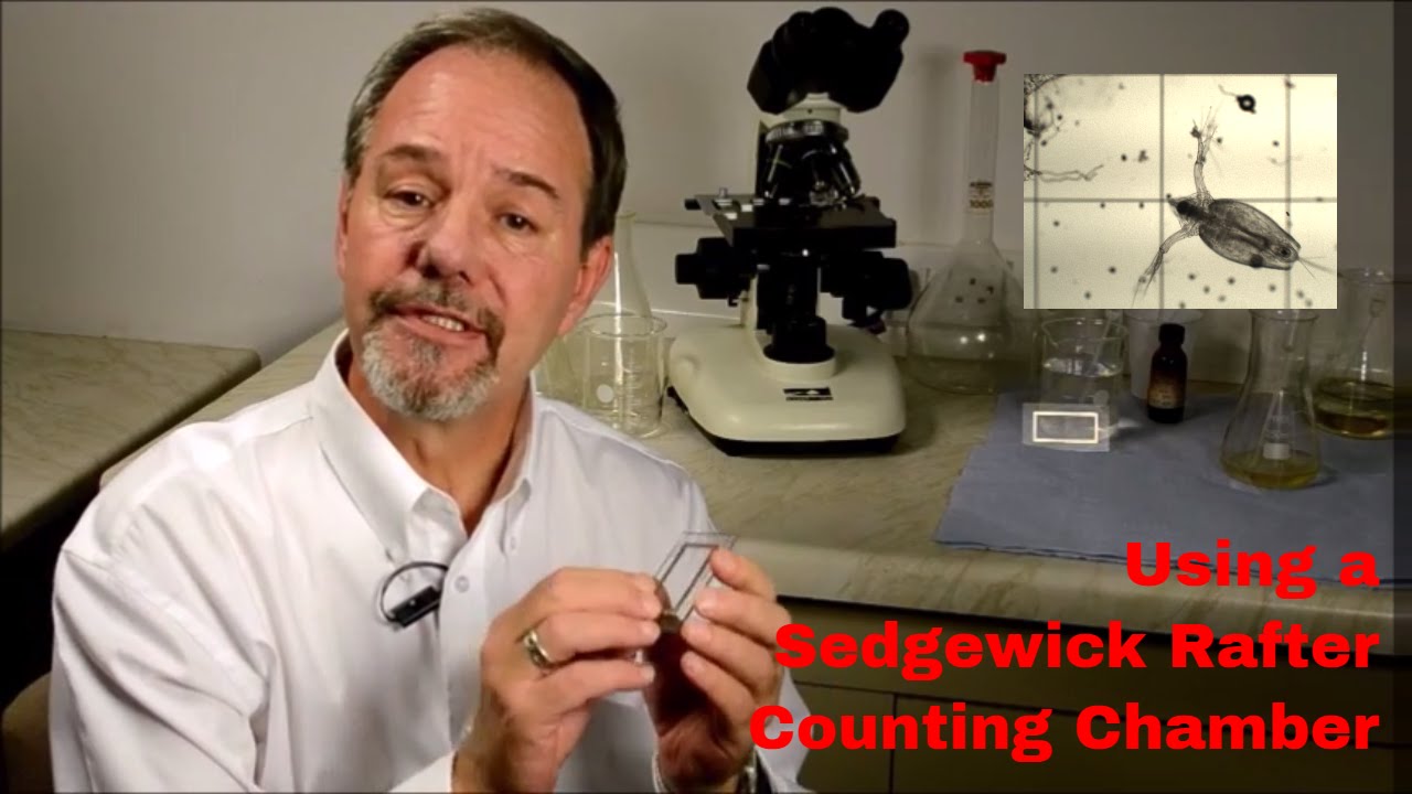 How to use a Sedgewick Rafter Counting Chamber