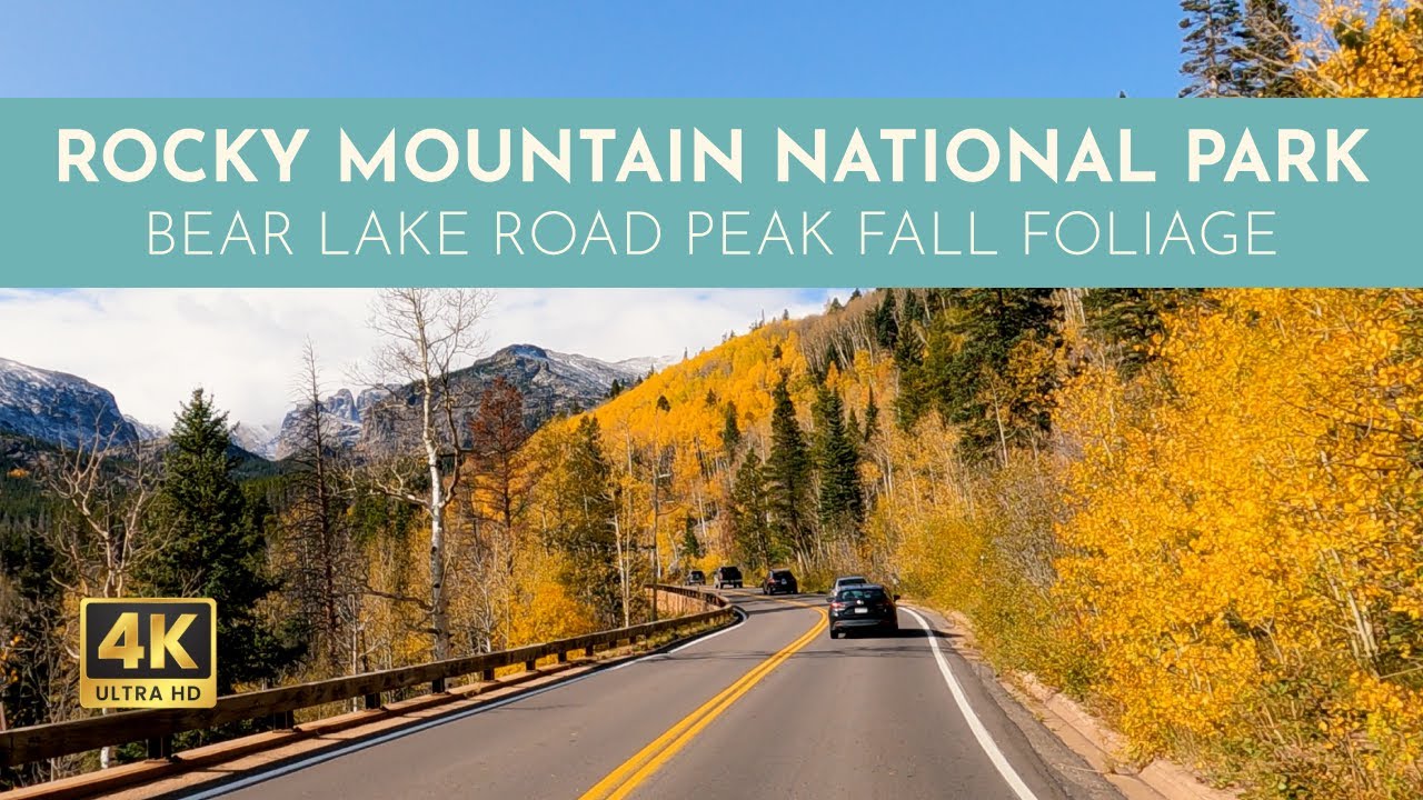 Peak Fall Foliage Bear Lake Road Rocky Mountain National Park | 4K Scenic Aspen Leaf Drive