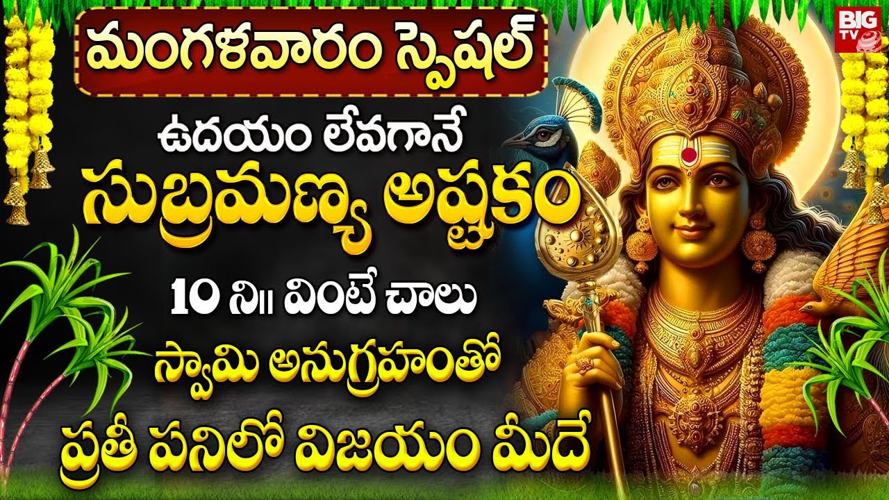సుబ్రమణ్య అష్టకం ఉదయాన్నే ప్రతీ పనిలో విజయం మీదే | Subramanya Ashtakam in Telugu | BIG TV