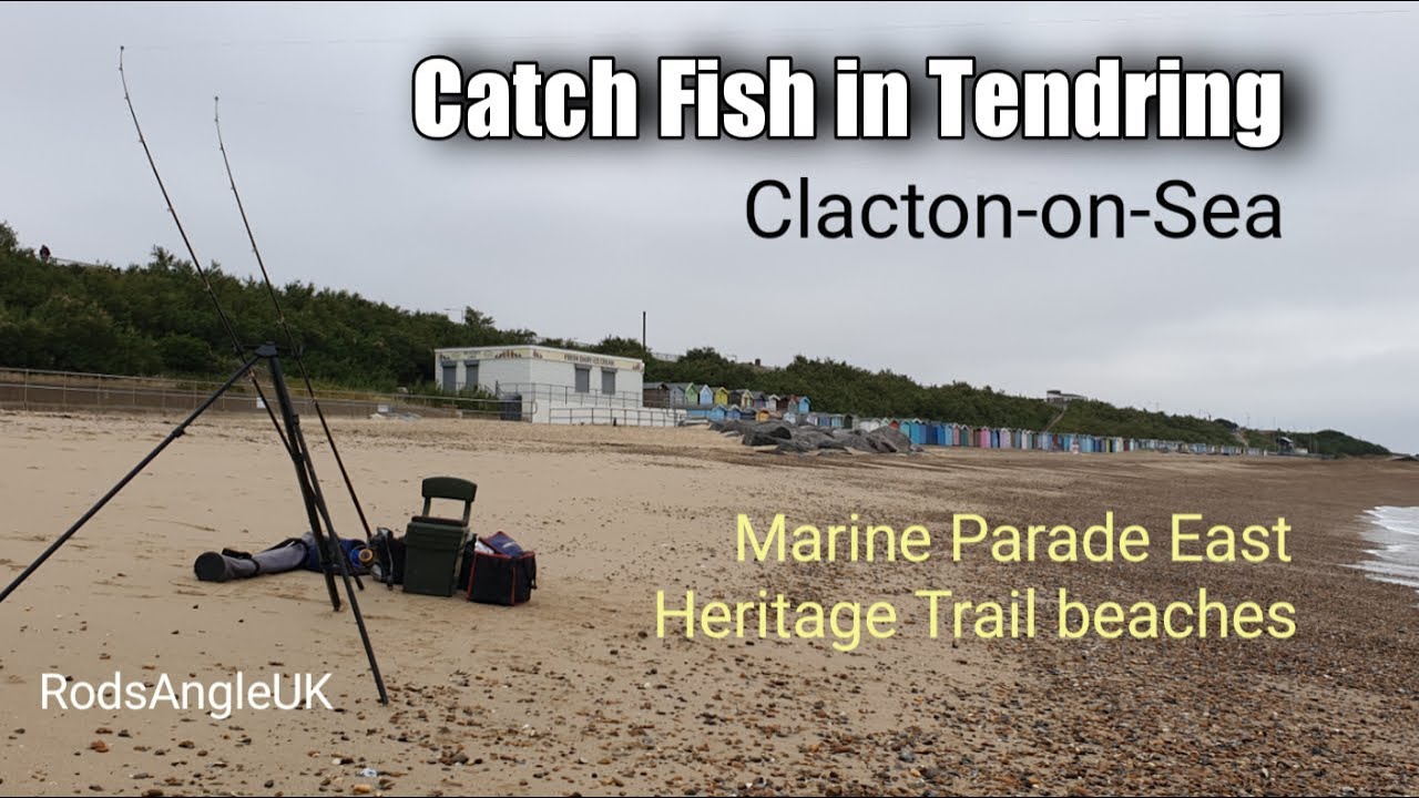 Catch Fish in Tendring: CLACTON - MARINE PARADE EAST