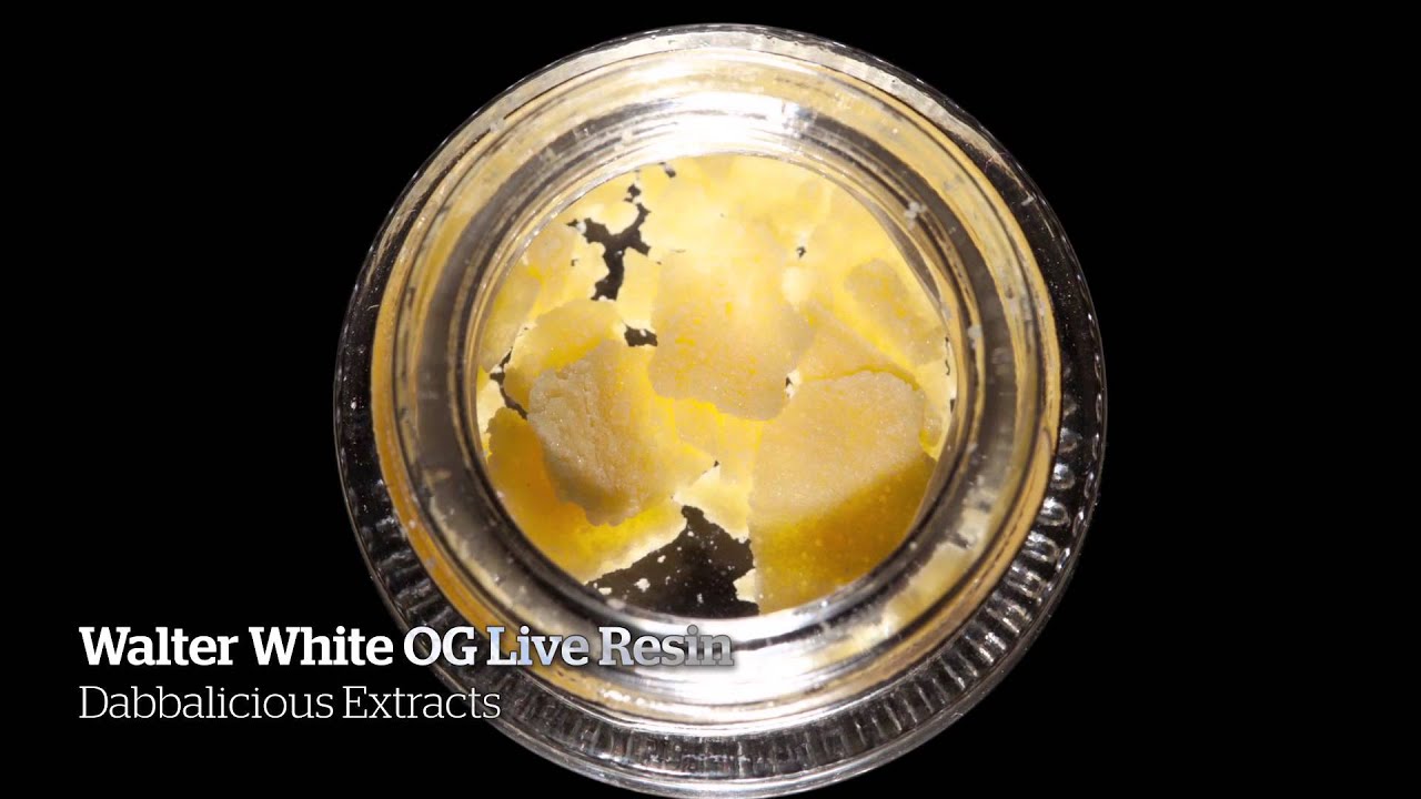 2014 HIGH TIMES Seattle US Cannabis Cup Entries Part I