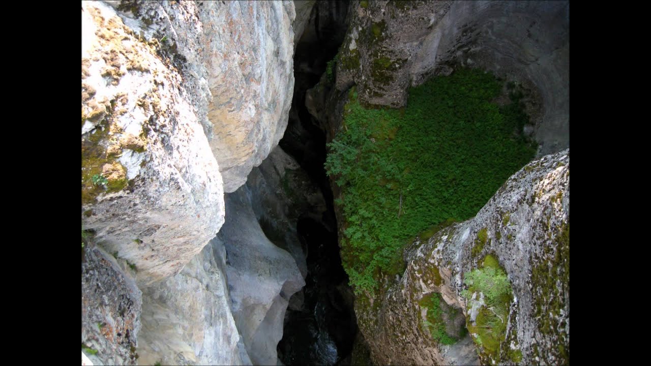 Swell - Too Many Days Without Thinking