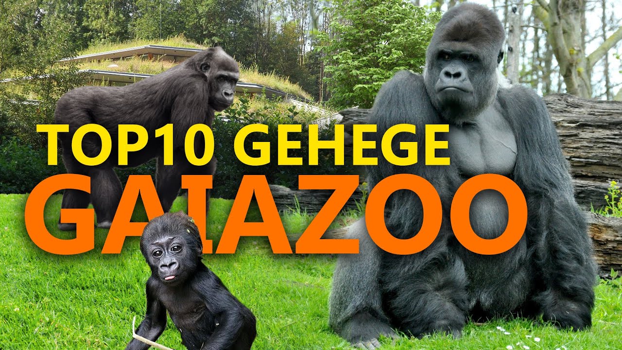 Top10: Die besten Gehege im GaiaZOO