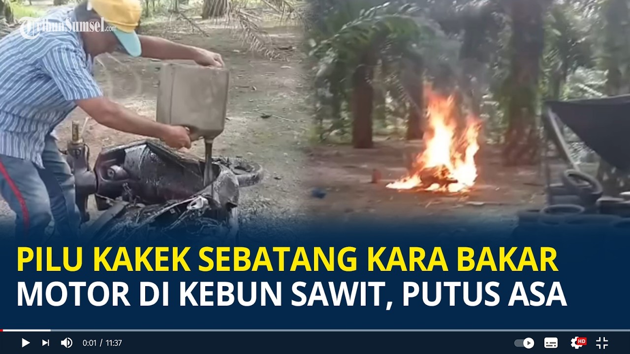 Viral Pilu Kakek Sebatang Kara Bakar Motor di Kebun Sawit di Sulbar, Luapan dari Putus Asa