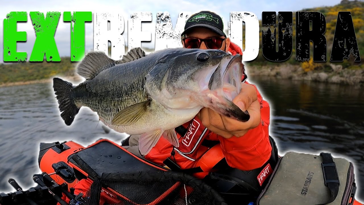 EXTREMADURA es el PARAISO de la PESCA!! Black Bass con Pato