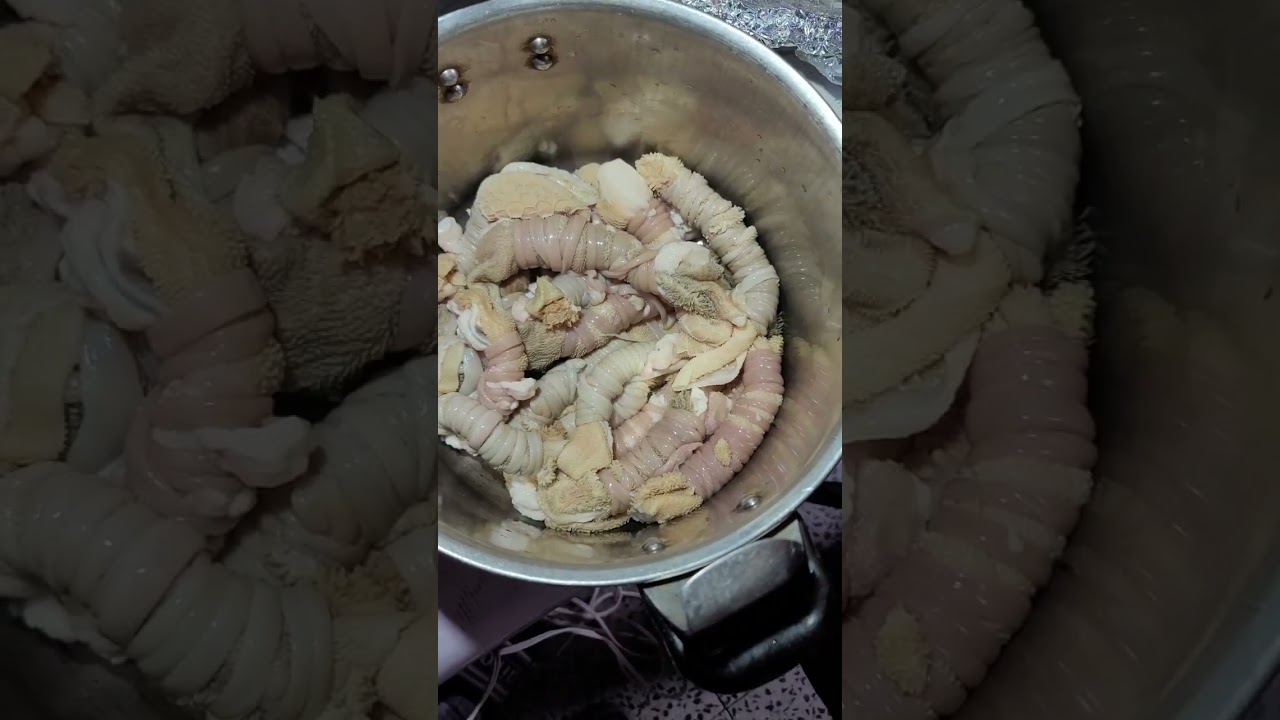 طريقة  عمل المعاصيب لكرشة الغنم البيضاء الوجبة المحببة للغالبية ...