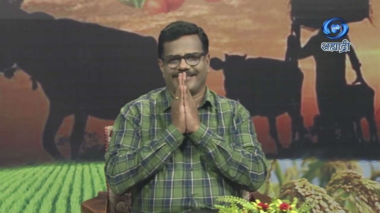 उन्हाळी तीळ लागवड तंत्रज्ञान | HD | Nagpur | Krushidarshan | डॉ. जीवन कतोरे | कृषीदर्शन | 24.01.2024