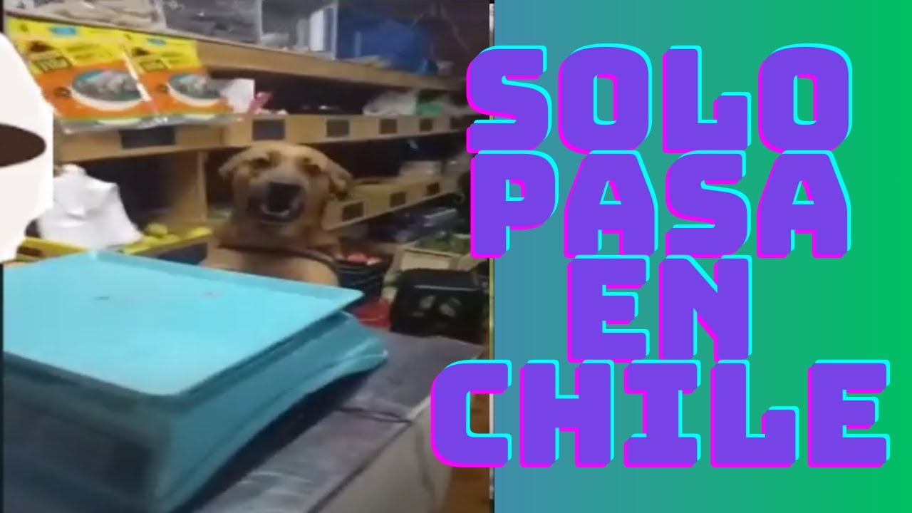 solo pasa y pasara en chile v4