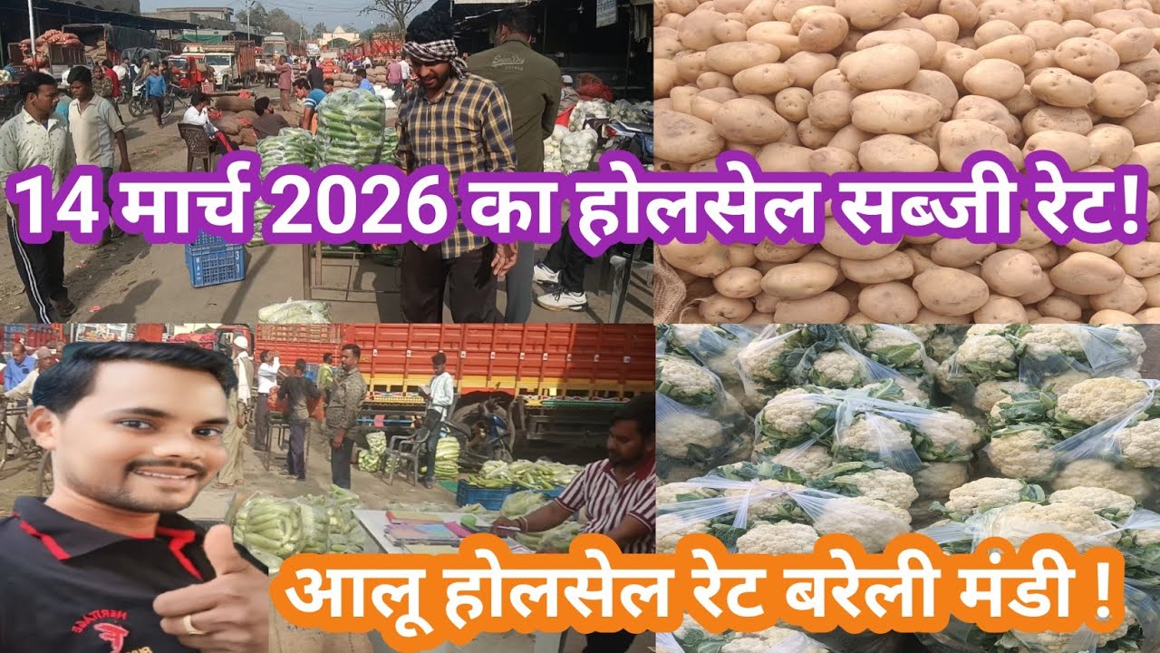 March 14, 2026 आज का सब्जियों का भाव बरेली मंडी !!