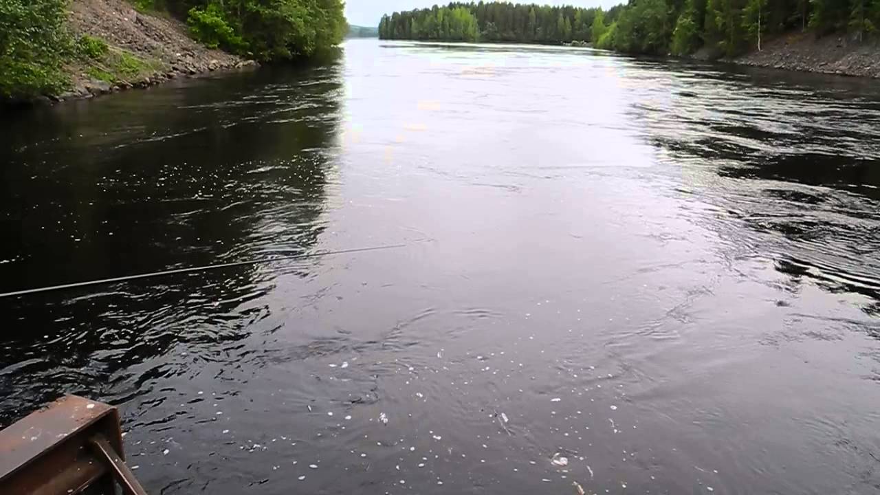 Nere vid Ljusnan.