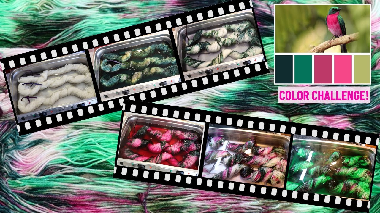Dyepot Weekly #520 - Dyeing a 4th Colorway for My Bird Color Challenge; Dyeing Twisted Skeins
