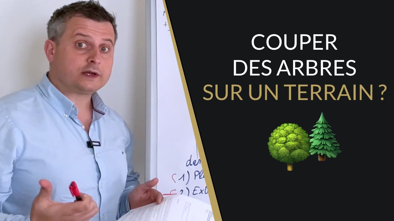 🟢 Puis-je couper des arbres sur un terrain ? Défrichement obligatoire ? (PLU)