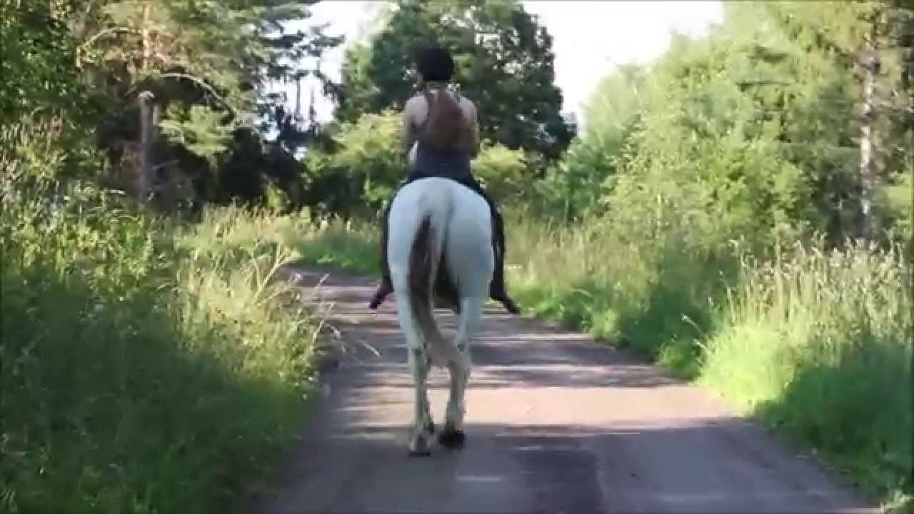 counting stars ~ krut och jag 15/7-2015