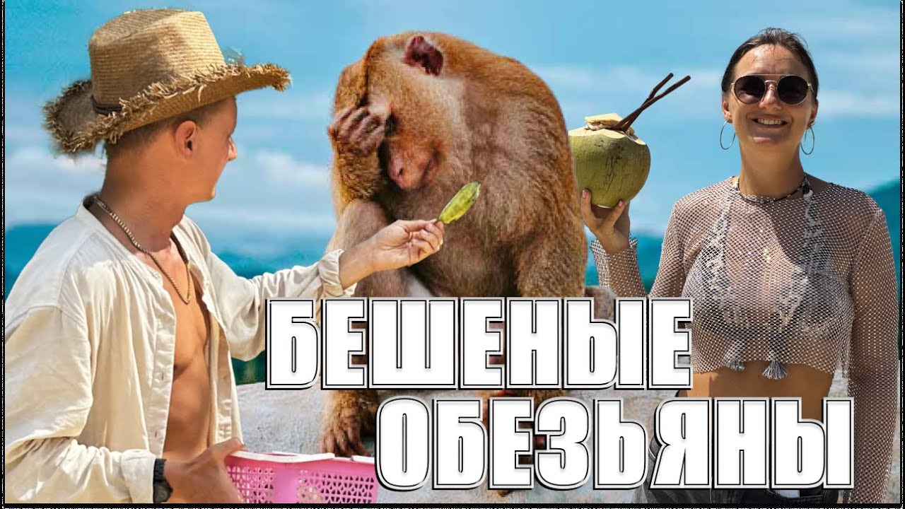 Выживаем среди обезьян | Гора обезьян на Пхукете | Пхукет 2024 | Таиланд