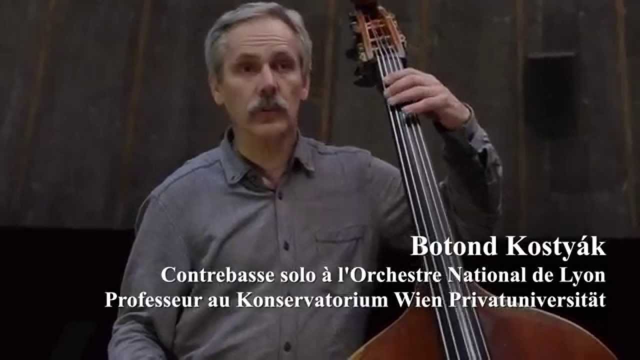 Botond Kostyák - La prise en main de l'archet hybride - Jean François Daber - FR
