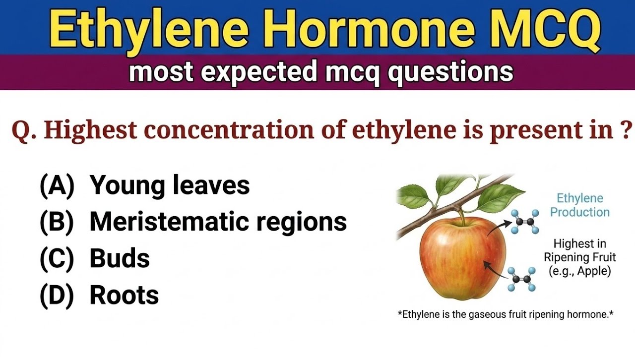 Plant Physiology MCQ : Ethylene hormone :Biology mcqs