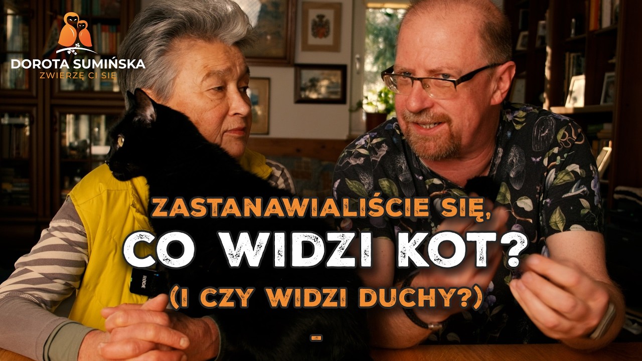 Co widzi kot? I czy naprawdę widzi duchy? [PORADNIK #49]