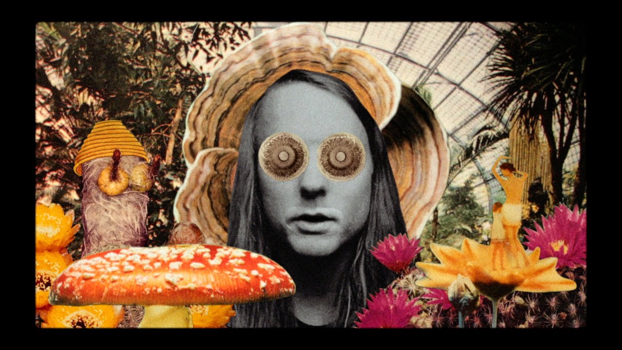 Andy Shauf - 
