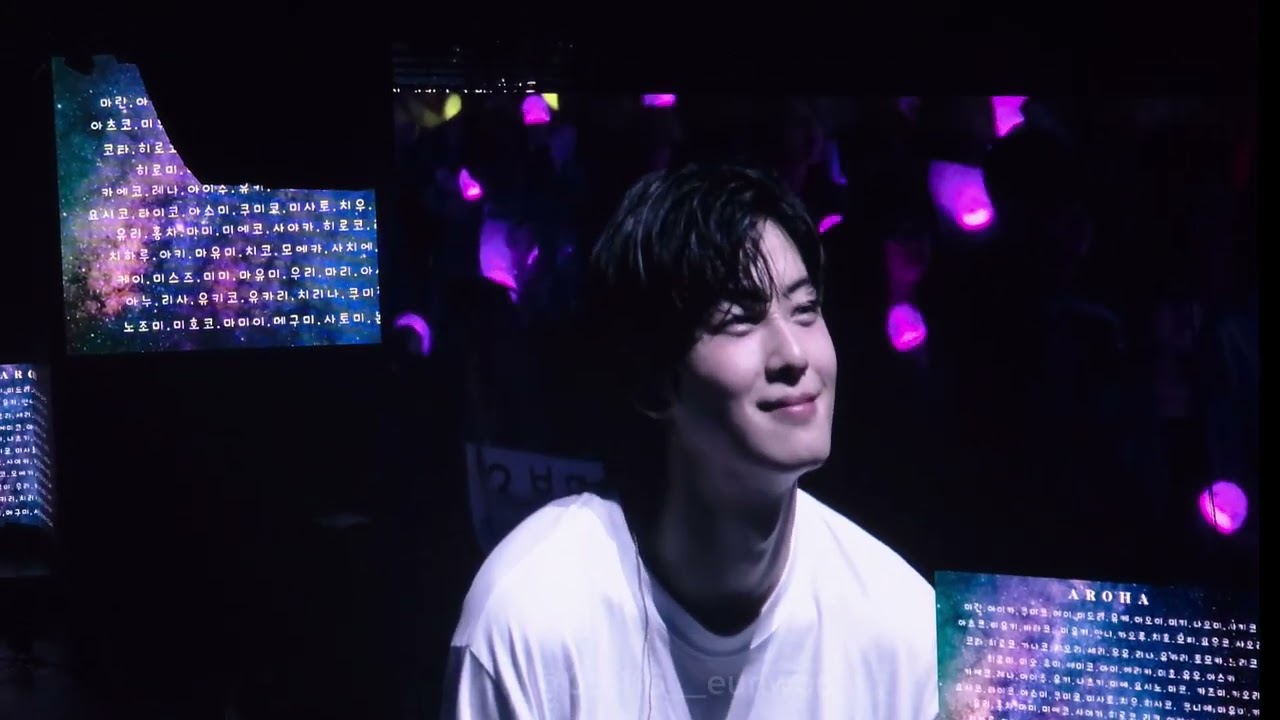 4K [Encore]  | Fan Video part | 240629 CHA EUN-WOO Mystery Elevator in Japan🇯🇵 Day1 #차은우