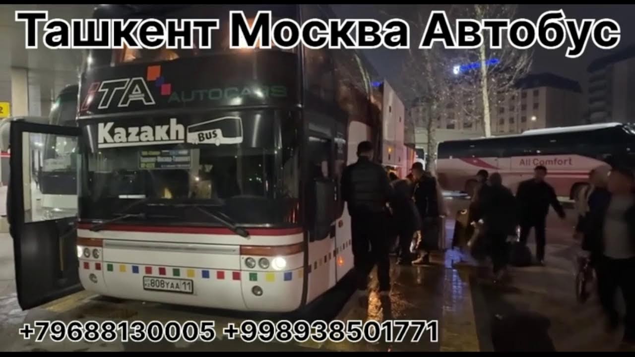 tashkent moskva avtobus ташкент москва автобус