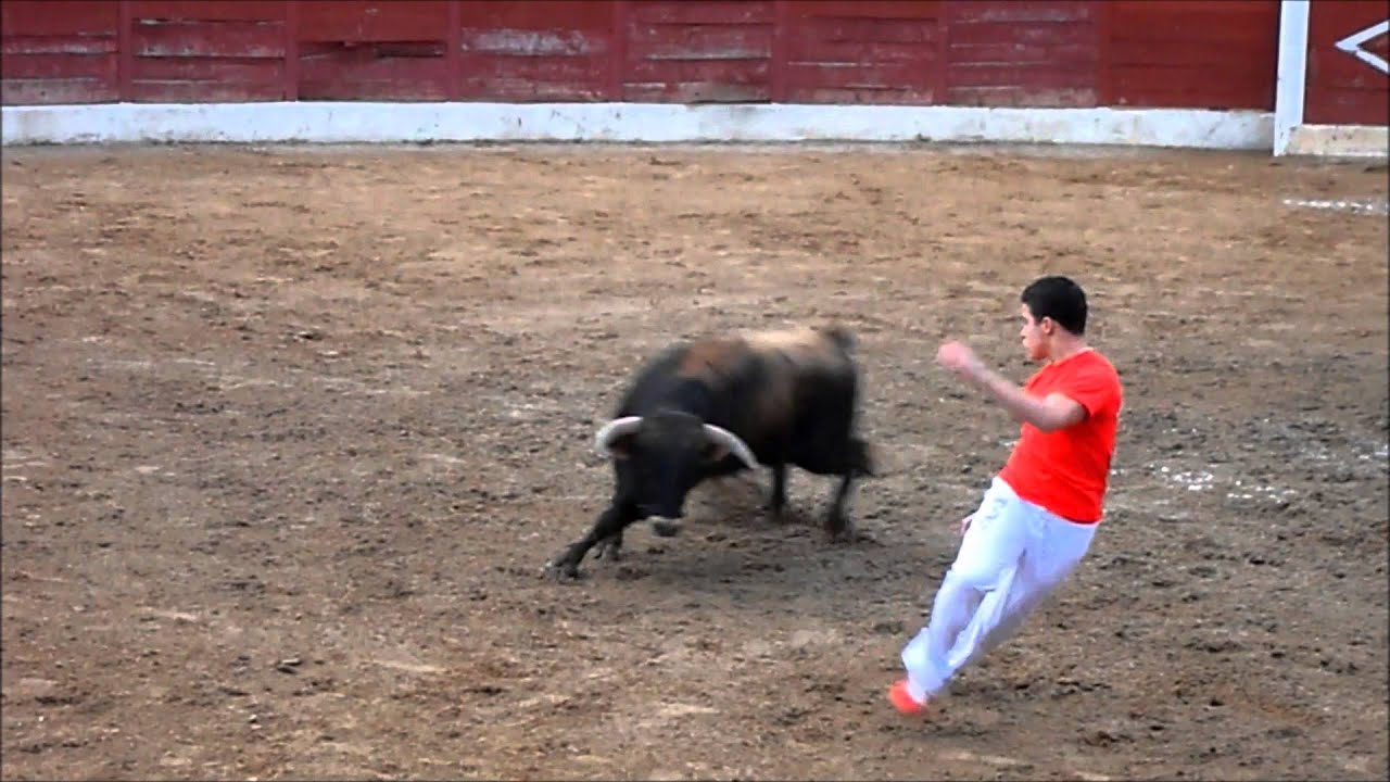 Concurso de cortes Fuentes de San Esteban 21/12/2013