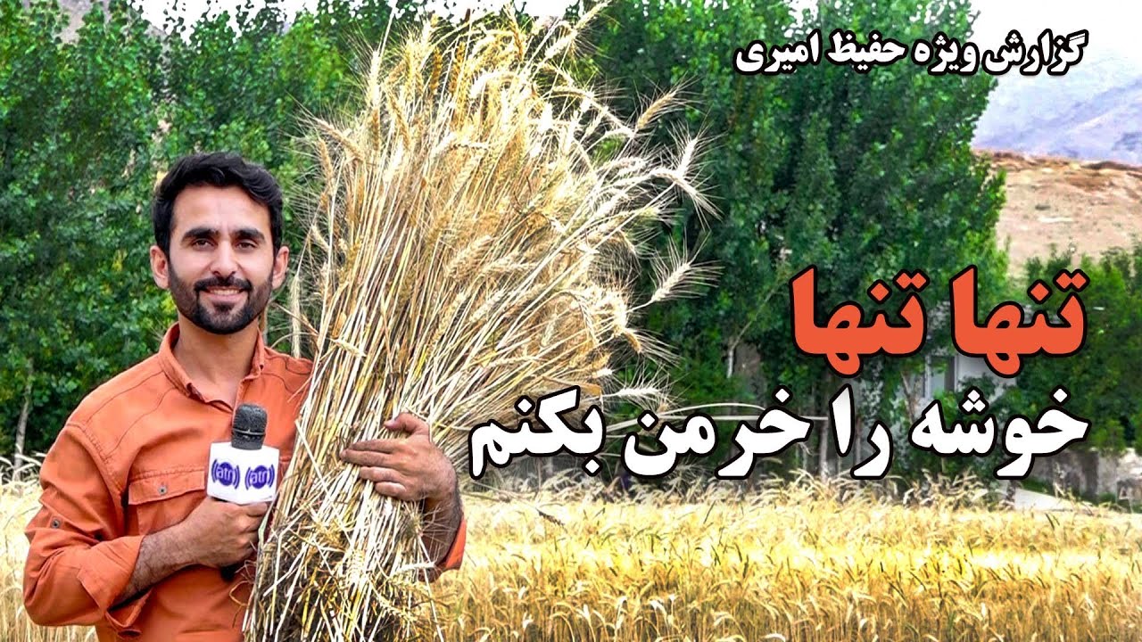 تنها تنها خوشه را خرمن بکنم، گزارش حفیظ امیری