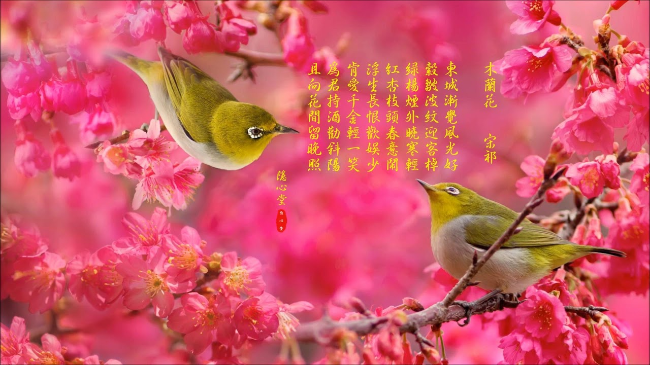【木蘭花】  宋祁
