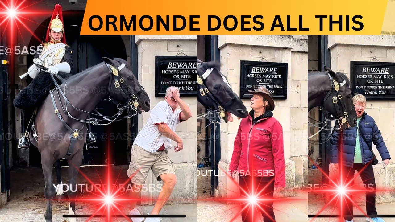 ORMONDE DOES ALL THIS DESPITE BEING CONTROLLED. EPIC MOMENTS HORSE GUARDS