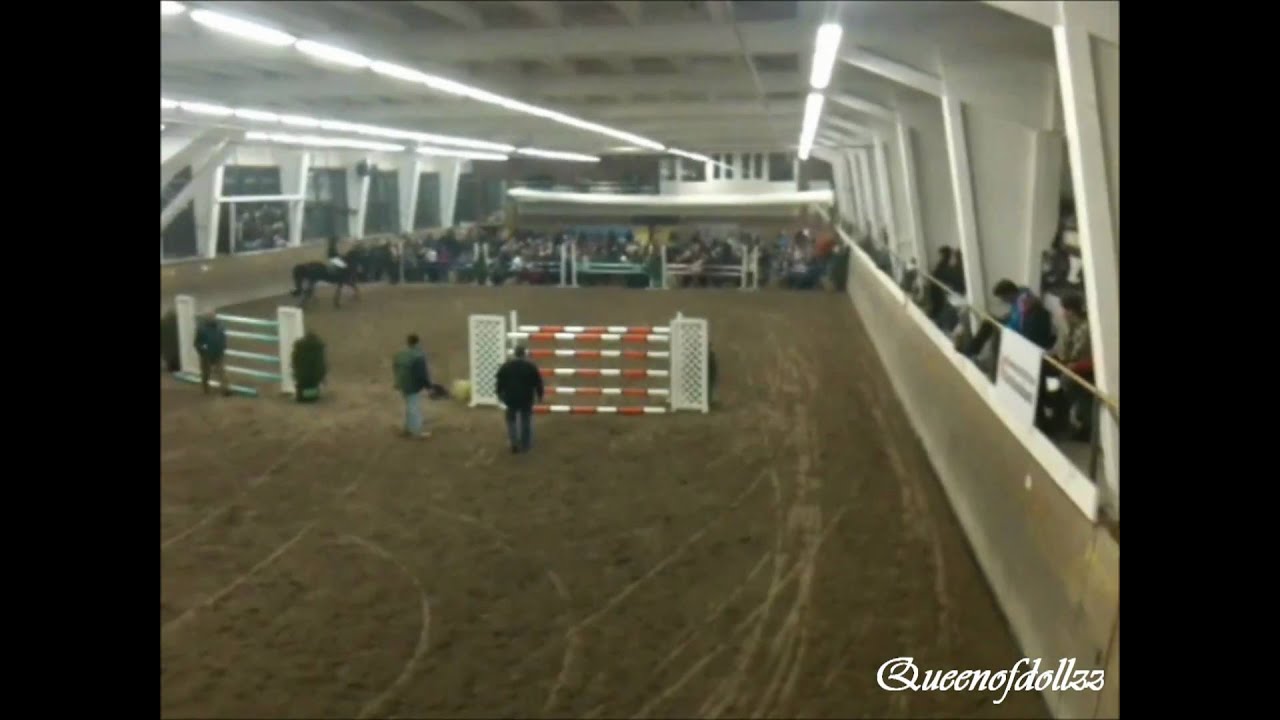 Janika Sprunger introduces Galayo la Silla, Old. Stallion (HD)