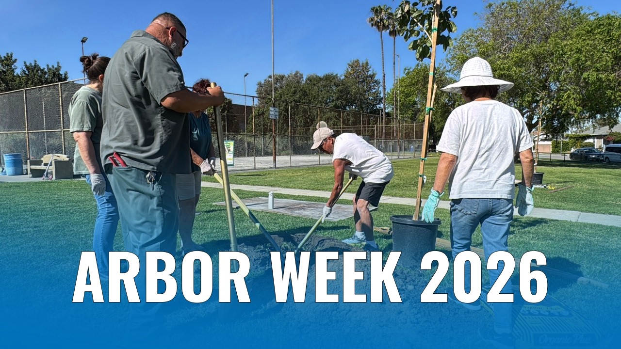 Arbor Week Tree Planting