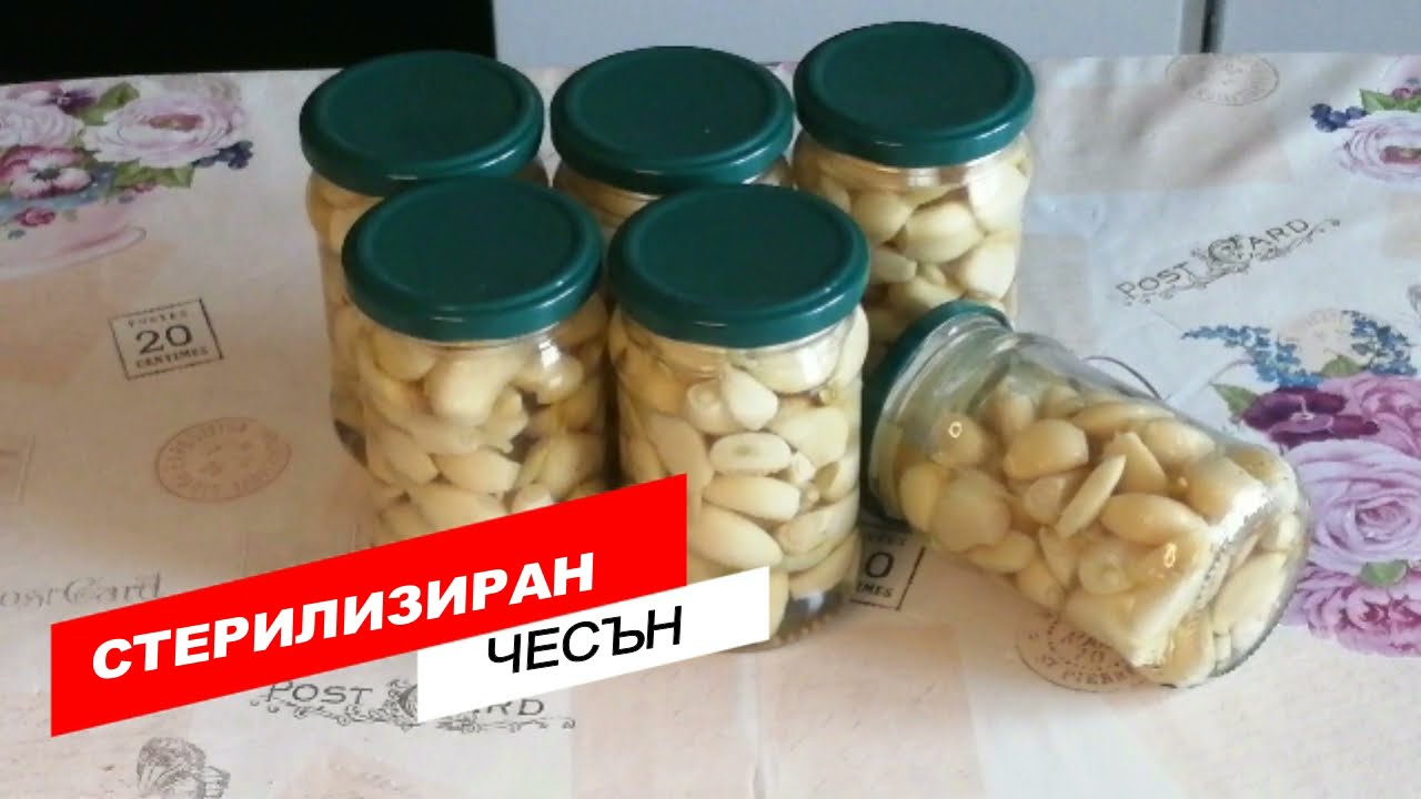 СТЕРИЛИЗИРАН ЧЕСЪН