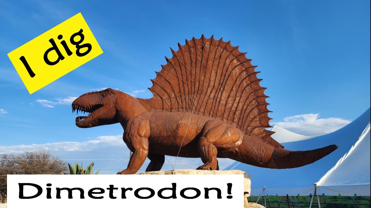 Digging Dimetrodons in Permian red-beds with the Whiteside Museum