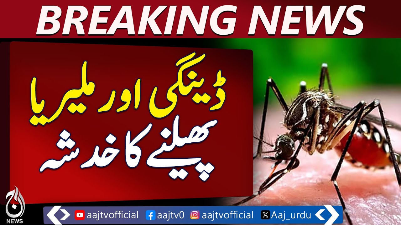 Dengue & Malaria Threat Looms | Health Alert Issued Across Pakistan - Aaj News Breaking