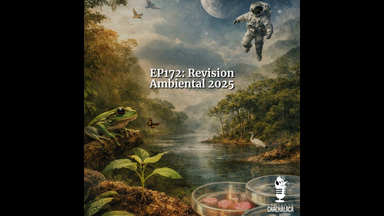 EP172: Revision Ambiental 2025