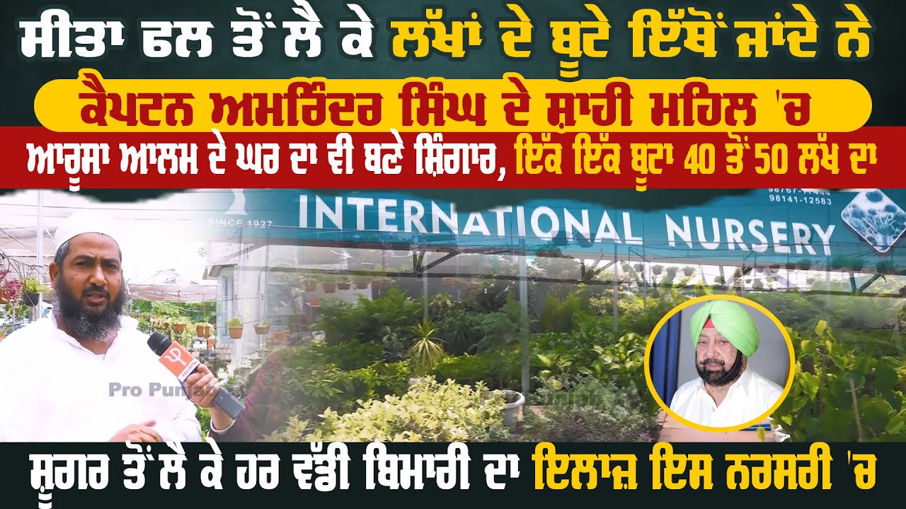 ਇੱਕ-ਇੱਕ ਬੂਟਾ 40 ਤੋਂ 50 Lakh ਦਾ, ਸ਼ੂਗਰ ਤੋਂ ਲੈ ਕੇ ਹਰ ਵੱਡੀ ਬਿਮਾਰੀ ਦਾ ਇਲਾਜ਼ ਇਸ Nursery 'ਚ | Pro Punjab Tv