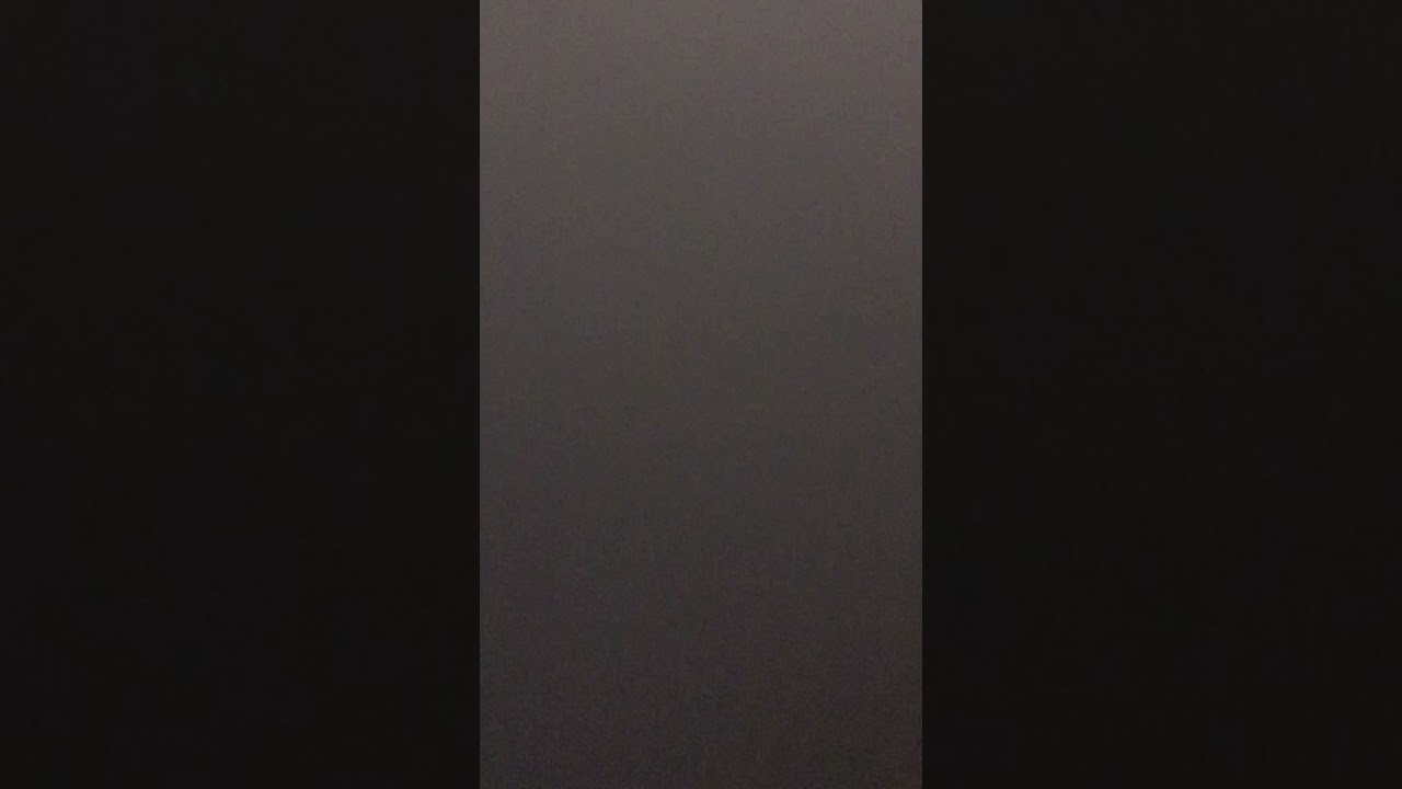 Paralititan vs spinosaurus in the snow