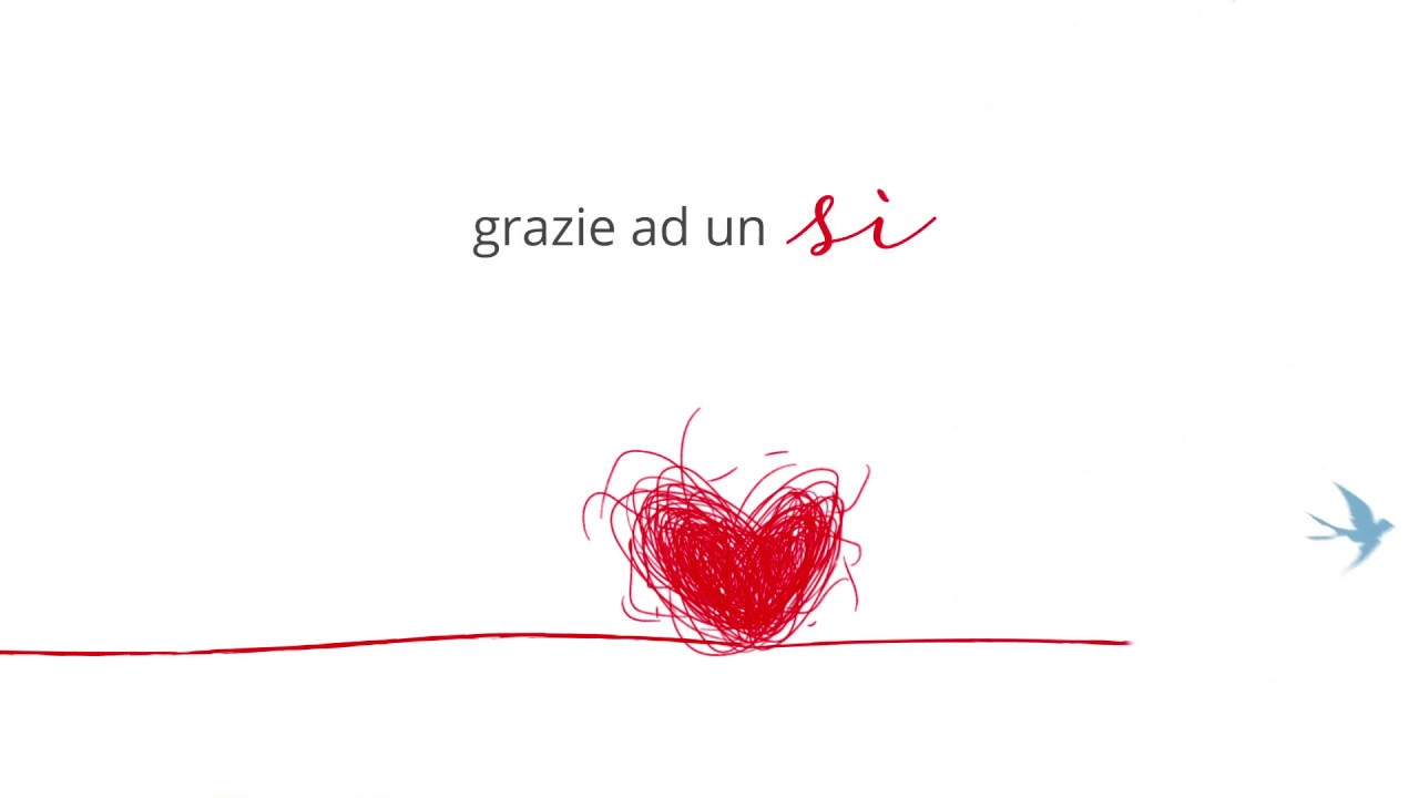 AIDO - Il percorso di un sì