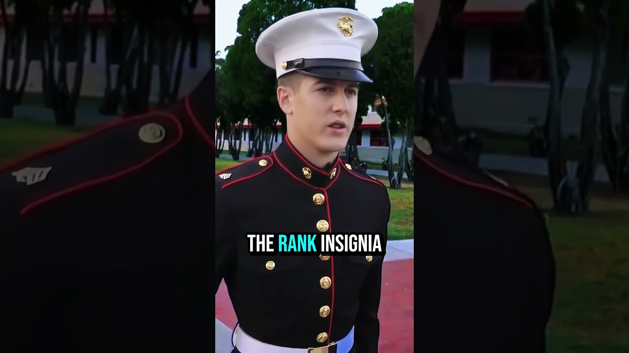 Какое звание у генерал-майора морской пехоты? #usmc #marinecorps #usmarines #bootcamp #marine #corps