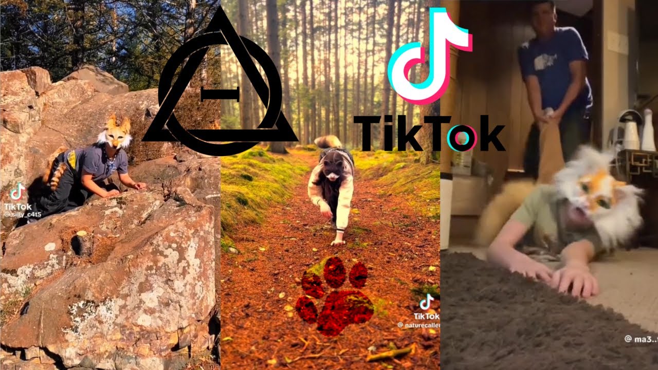 Therian and Quadrobics TikToks || Compilation 🐾🪱🪲|| Alterhumans of TikTok #81