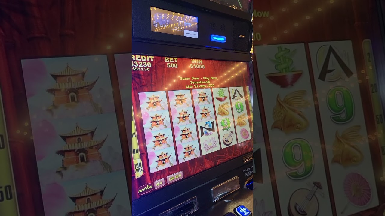 Big Bet and a Big Win on an OG Classic! #panda #slot #bigwin #casino #bigbet #slotmachine #jackpot