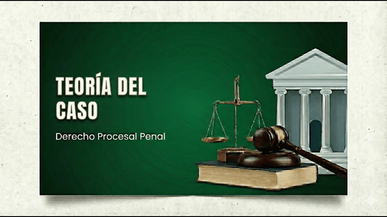 TEORÍA DEL CASO
