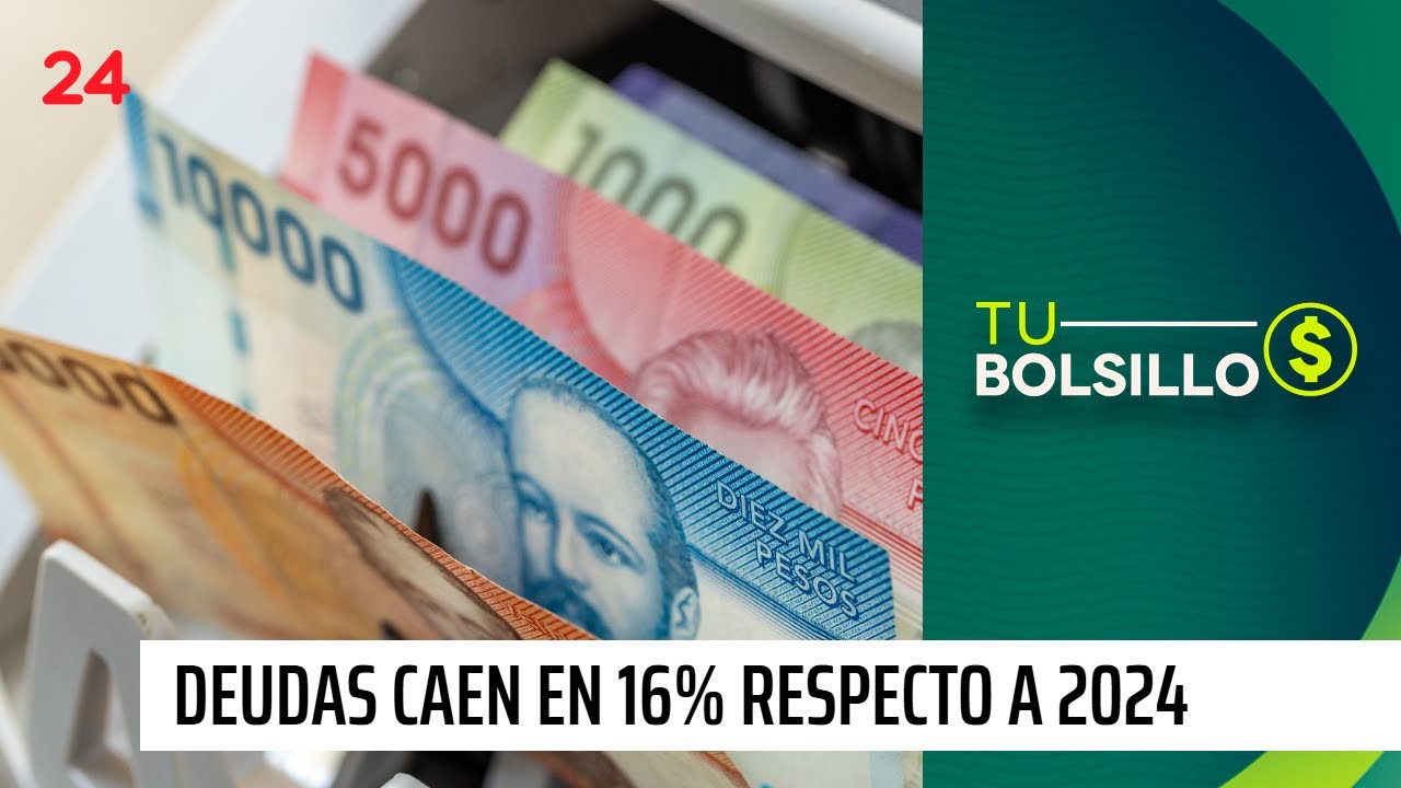 Alivio económico: las deudas de los chilenos caen en 16% | 24 Horas TVN Chile