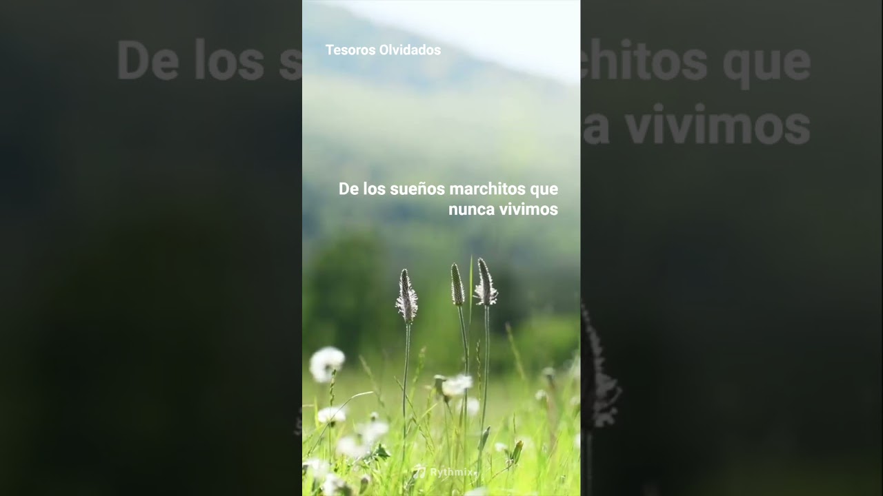 Tesoros Olvidados#CanciónOriginal  del autor del canal, realizada con herramienta de IA