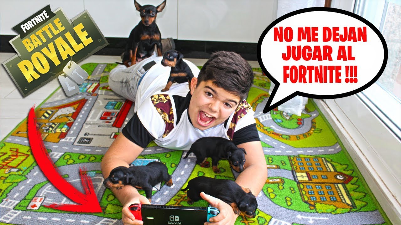 MIS CACHORROS ME MOLESTAN MIENTRAS JUEGO AL FORTNITE!!!